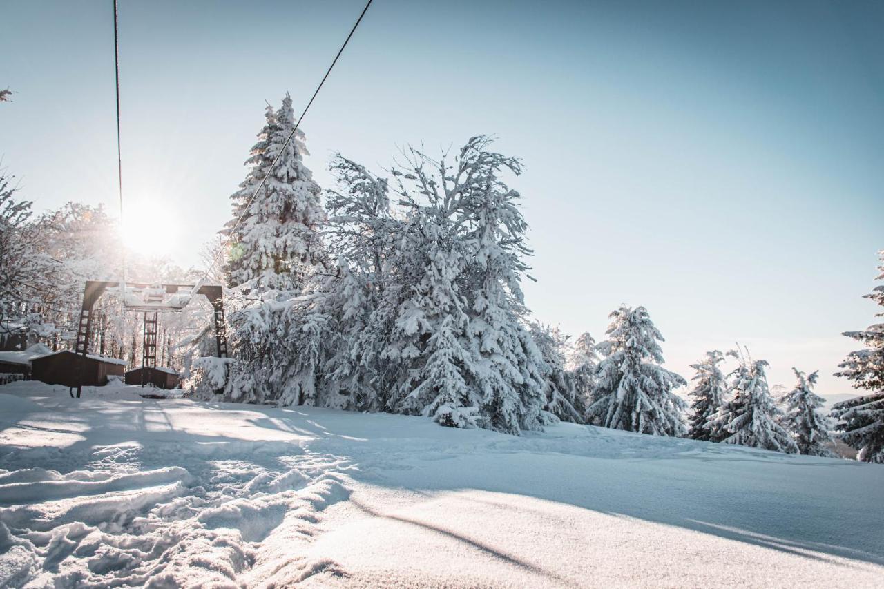 Penzion Jedlova Jiretin pod Jedlovou Luaran gambar