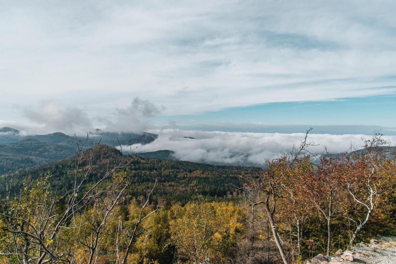 Penzion Jedlova Jiretin pod Jedlovou Luaran gambar